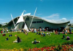 Dinosaur Isle Museum