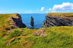 Bromore Cliffs