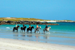 The Point Pony Trekking & Horse Riding Centre