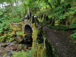 Fairy Bridges