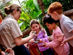 Plantasia Tropical Zoo