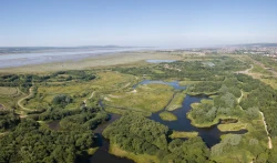 Llanelli WWT National Wetland Centre