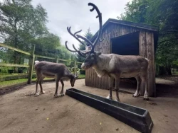 Ponderosa Zoo