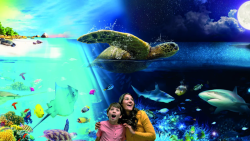 SEA LIFE Brighton